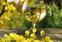 Vino Blanco