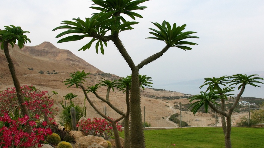Jardines de Israel
