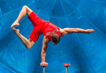 Cirque du Soleil: Luzia