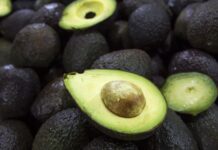 Aguacate mexicano