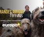 Descubre a los perros más grandes del mundo en Europa+